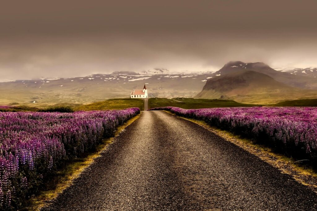 Road with flowers